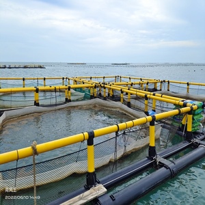 Cage à poissons carrée en HDPE avec plateforme de travail pour l'aquaculture intérieure - Product Image 4