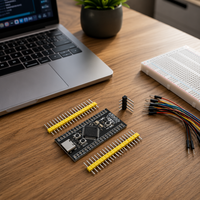 Carte de développement STM32F401RCT6, module de carte système de base STM32F401 avec Type-C, kit DIY de système minimal MCU pour l'apprentissage et l'IoT