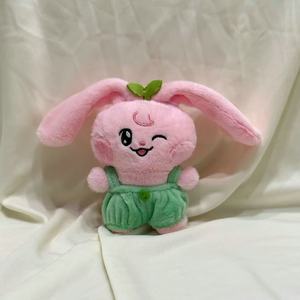 KPOP 15CM NT Dream Dreamiez Peluche de Dibujos Animados Llavero Juguetes Jisung Chenle Haechan Jaemin Jeno <span class=keywords><strong>Renjun</strong></span> Muñeco de Tela Regalos de Cumpleaños para Fans - Product Image 3