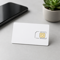 Kartu SIM IoT LTE Seluler, 30MB, Validitas 1 Tahun; Termasuk Layanan Internet dan Data untuk Pelacak GPS