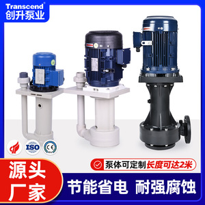 Custom Made Vertical Centrifugal <b>Pumps</b> Cs Model PP Plastic Chemical <b>Submersible</b> For Tank And Electroplating Use - Product Image 4