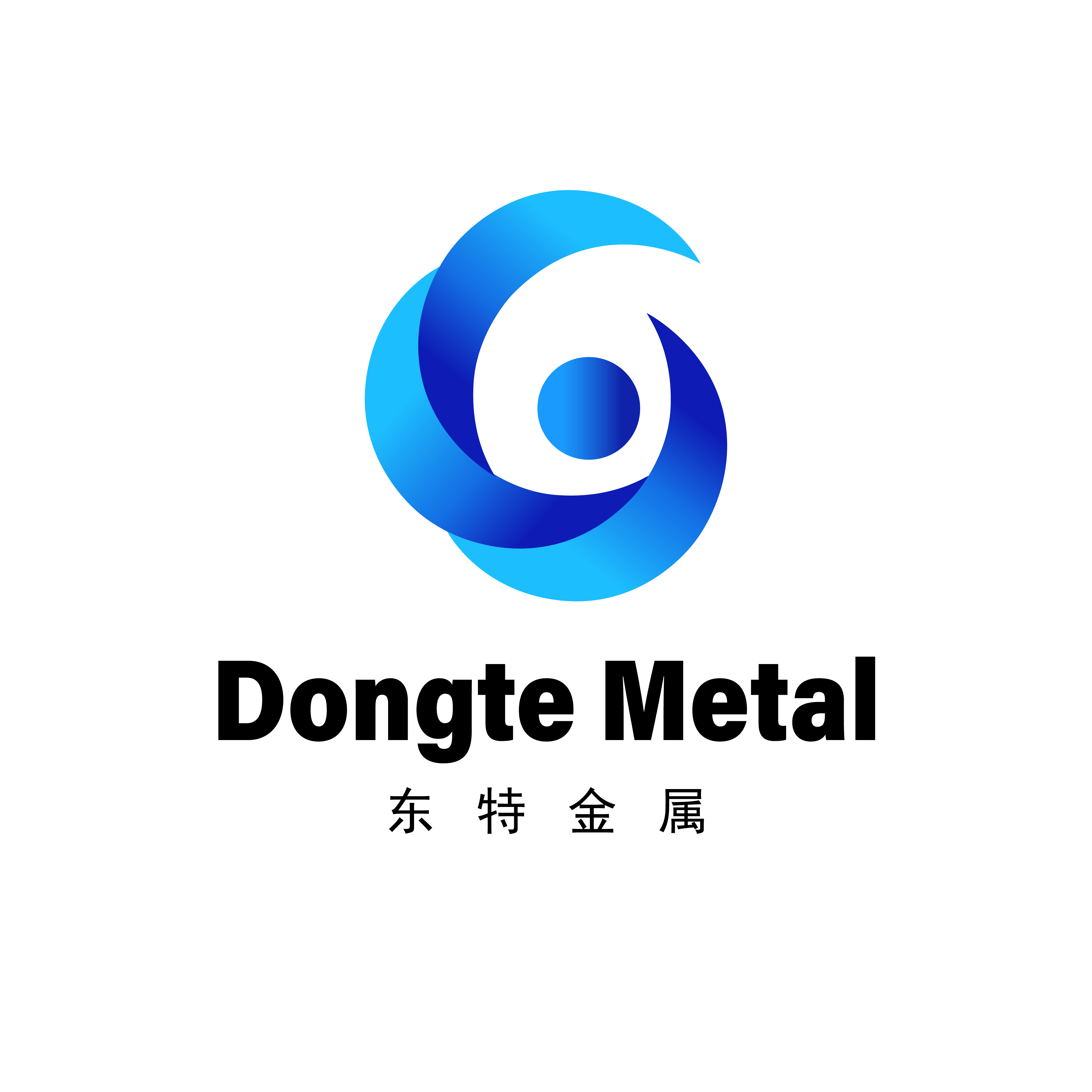 Shandong Dongte Metal Materials Co., Ltd. logo