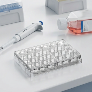 Plat Kultur Sel Mikroplat TC Terperlakukan Dasar Datar Single <span class=keywords><strong>Well</strong></span> 4 <span class=keywords><strong>Well</strong></span> 6 <span class=keywords><strong>Well</strong></span> 12 <span class=keywords><strong>Well</strong></span> <span class=keywords><strong>24</strong></span> <span class=keywords><strong>Well</strong></span> 48 <span class=keywords><strong>Well</strong></span> dengan Tutup - Product Image 3