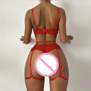 New Apparel Lace Dessous Unterwäsche Runder wire Stahlring Strumpfband BH Riemen für Frauen - Product Image 2