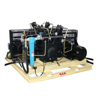 Compresseur d'air à piston alternatif haute pression 15/18,5/22 KW 30 bar, double étage de compression, moteur stationnaire, air/eau