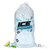 Sac de rangement pour glaçons personnalisé pour l'industrie des boissons, sac transparent en plastique pour glaçons