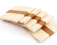 Bâtonnets de glace biodégradables écologiques, vente en gros, personnalisables pour tous les scénarios