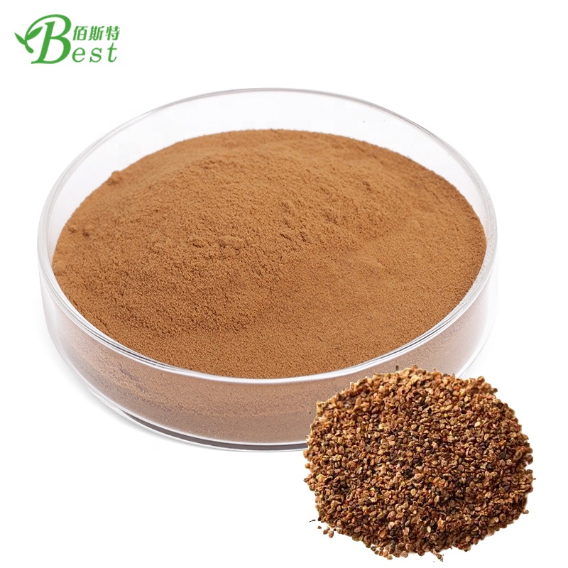 Fabriek Groothandel Kochia Zaden Plant Kochia Scoparia/Fructus Kochiae Extract