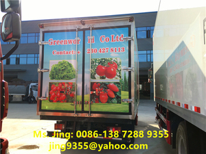 Vérin portable HOWO 5T 4x2, petit camion congélateur pour stockage froid à vendre en amusant - Product Image 2