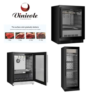 Armoire de maturation de viande à design surélevé, avec plan de travail résistant aux rayures et contrôle de l'humidité, pour affichage domestique - Product Image 1