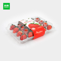 Boîte à fruits en plastique PET transparente Plateau d'emballage de baies de fraises pour supermarché de ferme