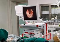 Dispositif médical pour endoscope rigide caméra système chirurgie d'endoscope usage vétérinaire