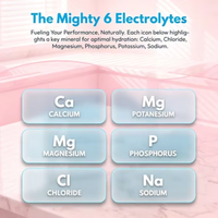 Poudre d'électrolytes en gros pour l'hydratation, contient 6 électrolytes clés et oligo-éléments, poudre d'électrolytes sans sucre