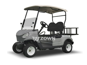 Voiturette de golf électrique homologuée pour la route, 4x4 tout-terrain, chariot de chasse, moteur 5KW, châssis en aluminium, personnalisation disponible - Product Image 6