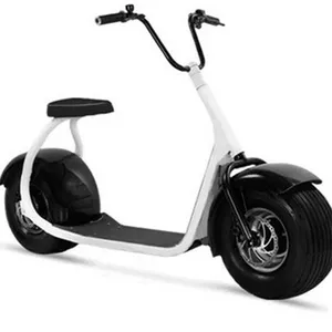 fat tire basic citycoco with removable Lithium Battery electric scooter can add many parts