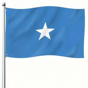 Banderas de Somalia Personalizadas de 90x150cm (3x5 pies), 100% Poliéster, de Buena Calidad y al Mejor Precio, Venta al Por Mayor de Fábrica, para Eventos - Product Image 6
