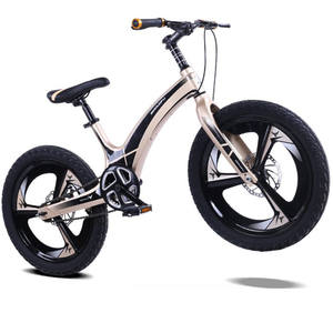 OEM Aceptado 20 pulgadas niños estudiantes bicicleta con horquilla de acero de una sola velocidad fabricante de fábrica de aviación Marco de aleación de magnesio - Product Image 2