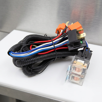 Kabel Ekstensi Relay Kit Lampu Kabut & Lampu Depan Mobil untuk Penggunaan Sepeda Motor, Elektronik & Peralatan Rumah Tangga, Berperingkat IP65