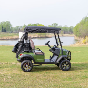 Productos Más Vendidos, Carro de Golf Ligero de 2 Plazas para Ocio y Transporte Diario - Product Image 6