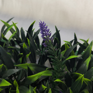Mur de haie d'herbe artificielle feuilles artificielles toiture bien connue pour sa qualité fine sur le <span class=keywords><strong>potager</strong></span> - Product Image 2