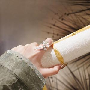 Anillo de Flor de Narciso de Plata Pura S925, Accesorios de Lujo de Alta Gama para Mujer, Estilo Chino con Incrustaciones de Garras, Diseño de Cara de Caballo - Product Image 3