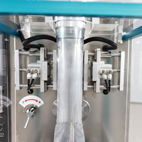 Machine d'emballage remplissante de sachet liquide pur automatique Machine d'emballage formée de sauce de bâton de sac