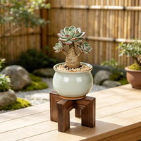 Support à plantes en bois pour intérieur et extérieur, support de pot de fleurs moderne du milieu du siècle, porte-pot de fleurs robuste à un seul niveau