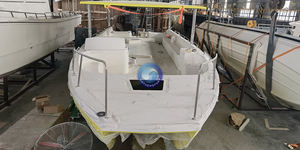 Catamarán de Fibra de Vidrio de 39 Pies (11.76 m) - Barco Turístico Económico para 25 Pasajeros para Turismo Costero - Product Image 3