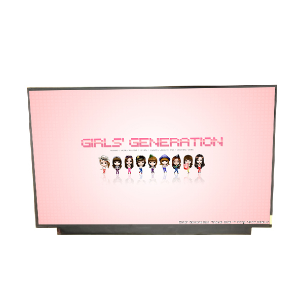 B173ZAN02.0  CHEAP High Quality LCD Display Screen 17.3 Inch 3840(RGB)*2160(UHD) 255PPI Resolution LCD Panel  Replacement