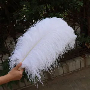 Bulk Ostrich Plumes Feather Decorative Feathers For Home Wedding Decor