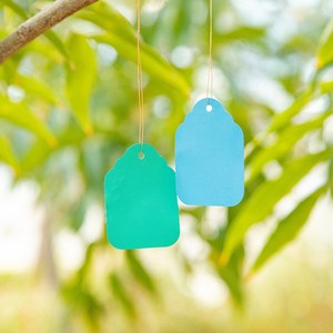 Marqueurs de variétés de semis de plantes de jardinage en gros transfrontalier, étiquettes de plantes, marqueurs d'arbres fruitiers, marqueurs de fleurs, étiquettes en plastique imperméables - Product Image 4