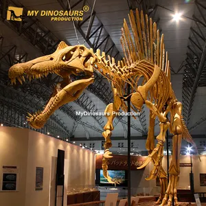 मेरा डिनो D14 संग्रहालय प्रदर्शनी जीवन आकार डायनासोर Spinosaurus कंकाल