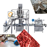 Machine de remplissage automatique multi-têtes MTW pour aliments pour animaux, céréales, engrais chimiques et granulés en pots et seaux
