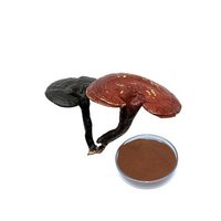 GANOHERB Bon Fabricant OEM Poudre d'extrait de Ganoderma Lucidum Reishi Ganoderma Plus de 30% polysaccharide