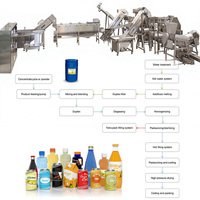 Industriële complete mango- en watermeloen-sap productielijn, automatische machines en natuurlijke apparatuur in China