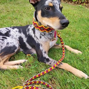 Personalizado de lujo México hecho a mano anudado Tweed doble X encanto tejido trenzado Paracord perro <span class=keywords><strong>Collar</strong></span> para perros pequeños y grandes - Product Image 1