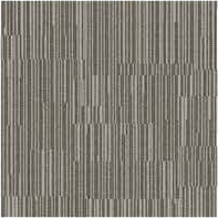 ZFP004   ซีเอฟพี004