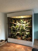 Kit de terrarium fermé en PVC pour petite plante, avec support de buffet en acrylique pour traiteur, pot en verre pliable, pot à mousse, lampe DIY et ouverture frontale
