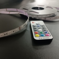 Bande de led néon flexible de nouvelle génération 12V RVB pour décoration d'enseignes lumineuses personnalisées