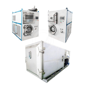 OCEAN Liofilizador De Flores Séchoir à sublimation de fruits de laboratoire Mini lyophilisateur pour la maison - Product Image 3