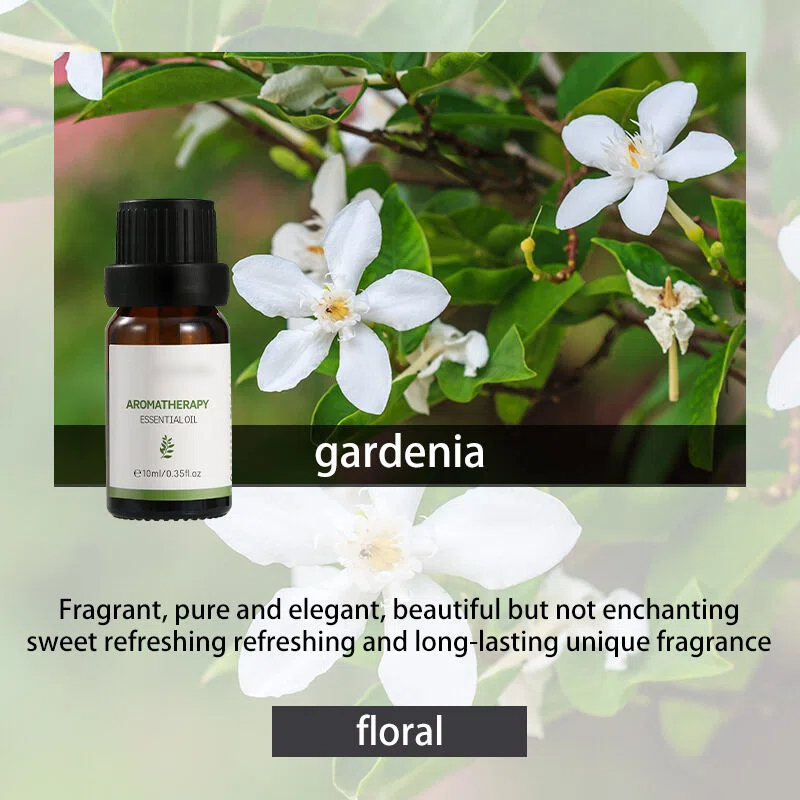 Gardenia