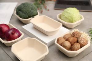 Bandeja Desechable de Pulpa de Bambú para Sushi, Papas Fritas y Frutas/Verduras de Picnic, Ecológica, Degradable, con Revestimiento de Esponja - Product Image 6