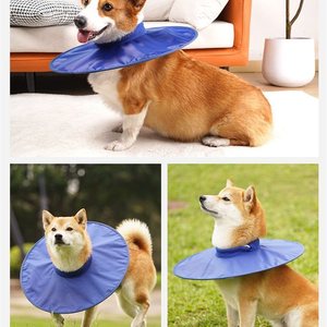 <span class=keywords><strong>Collare</strong></span> <span class=keywords><strong>per</strong></span> animali domestici Elizabeth anello di pelle sterilizzata o castrata anti leccata ferita grande <span class=keywords><strong>collare</strong></span> impermeabile <span class=keywords><strong>per</strong></span> cani - Product Image 5