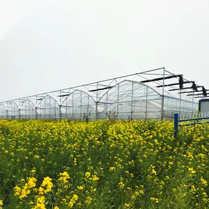Современная охлаждающая подставка для фермы, пленка для теплиц, ПВХ трубы, пластиковые цветы, теплицы, цена