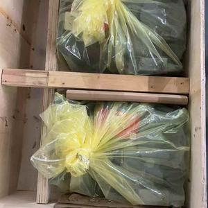 ปั๊มไฮดรอลิกแบบลูกสูบ A10VD17/A10VO17/A10VD17SR1RS5 สำหรับ 20S-60-72110 705-12-33110 708-3S-00511 708-3S-00513 - Product Image 3