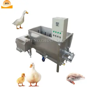 Spiumatrice e scottatrice per pollo ad acqua calda più lunga scottatrice per pollame e tacchino piscina per scottatura