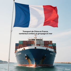 Servicio integral de envío marítimo puerta a puerta desde Xiamen China a Strasbourg Francia FCL LCL Freight Forwarder - Product Image 2