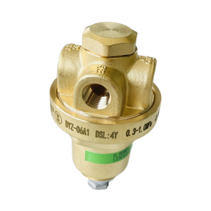 Regulador de Gas Licuado Criogénico DYZ06A para Cilindro - Product Image 2