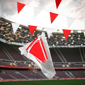 Cờ treo trang trí ngoài trời thiết kế tùy chỉnh năm 2025, nhiều màu sắc, chất liệu sợi thủy tinh, in kỹ thuật số, thân thiện với môi trường, thương hiệu Qiyun - Product Image 6