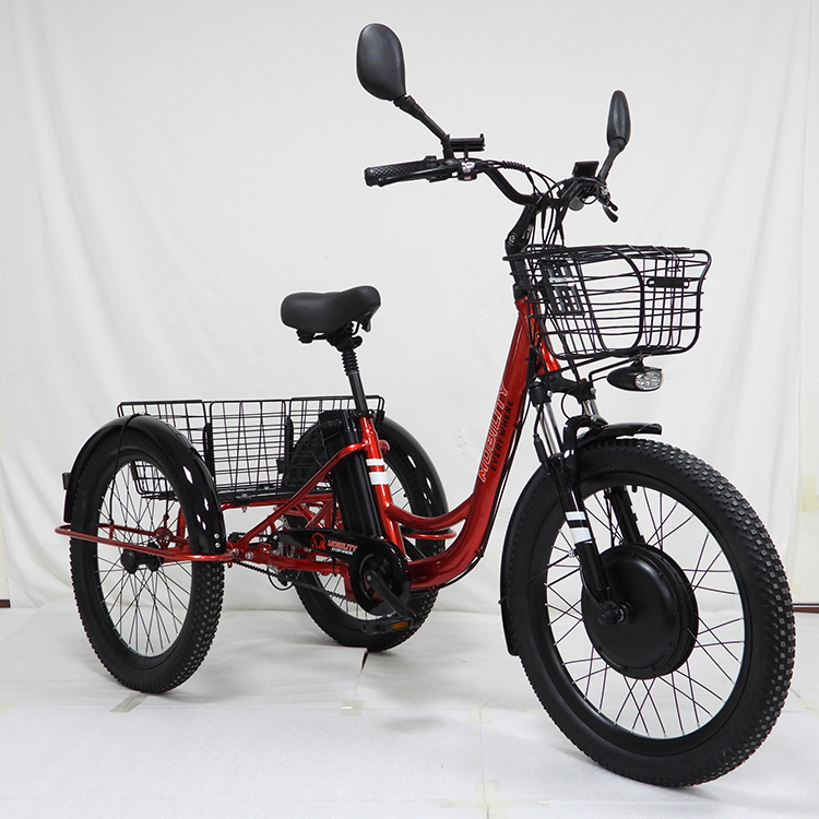 Tricycle Electric Scooter 3 Wheels Electric